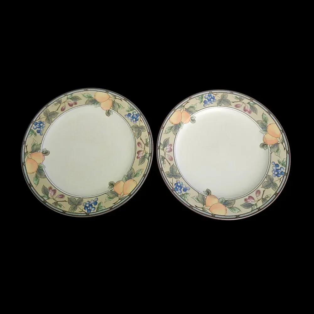Mikasa Intaglio Garden Harvest CAC29 Dinner Plates Set of 2 Fruit Border